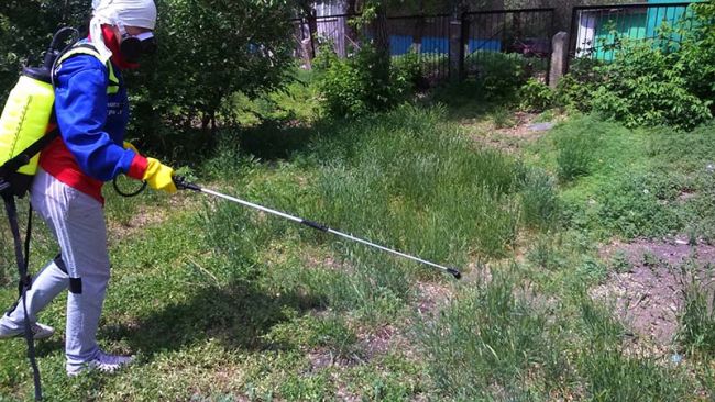 «фуфанон