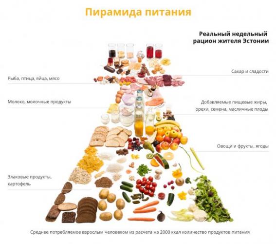 Что можно есть когда худеешь а что нельзя список?