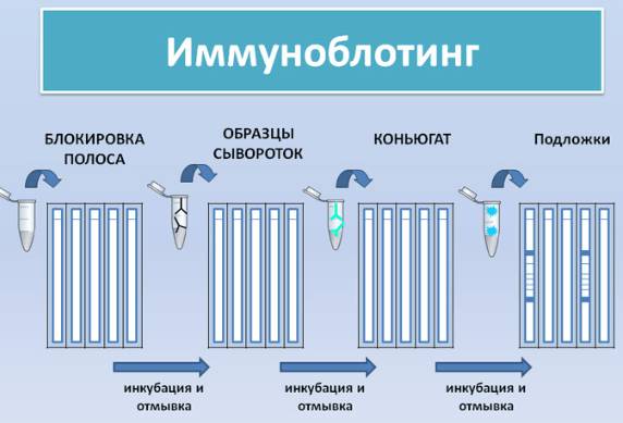 Могут ли быть ложноположительные результаты на туберкулез