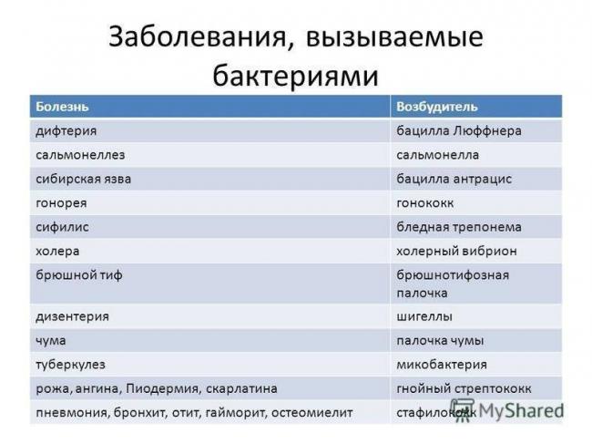 Вредные бактерии – возбудители болезней человека