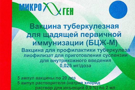 Как может ответить организм новорожденного на бцж: нормальная реакция на прививку и осложнения
