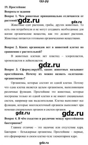 Разница между бактериями и простейшими