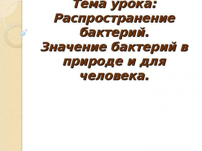 Болезнетворные бактерии: на коже, во рту, в кишечнике. фото грибков и бактерий