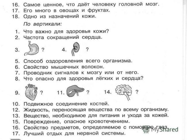 Царства живых организмов