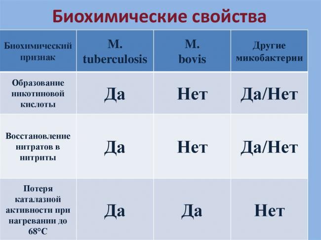 Туберкулезная палочка — что это такое