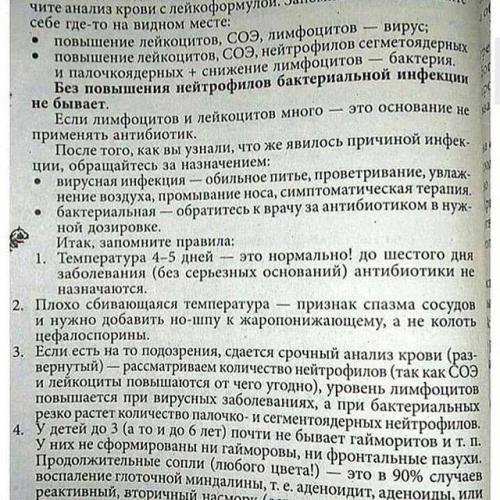 Чем отличается вирус от бактерии и что у них общего