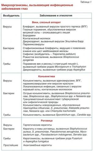 Вредные бактерии: где живут и какие вызывают болезни