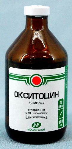 Чем отличается небулайзер от ингалятора: критерии отличия, есть ли разница или это одно и то же
