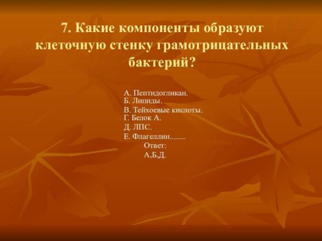 Грамотрицательные бактерии
