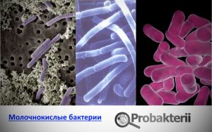 Йогурт или кефир: что полезнее и как выбрать