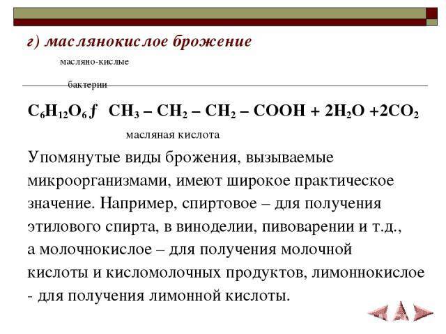 Бактерии – незаметные труженики, без которых невозможна жизнь на земле: каково их значение в природе?