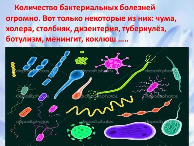 Доклад на тему болезнетворные бактерии сообщение 5, 6, 7 класс (описание для детей)