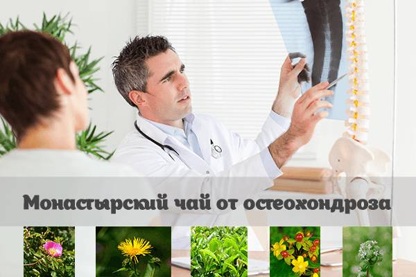 Какие травы пить в первую очередь при лечении остеохондроза? 3 самые популярные рецепты
