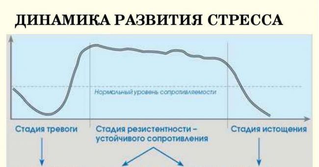 Профилактика и лечение стресса
