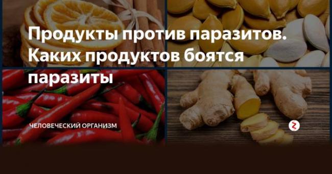 Диета и питание при глистах (гельминтозе, гельминтах) для детей и взрослых