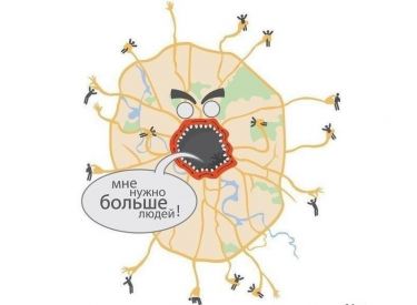Мышечная система — sportwiki энциклопедия