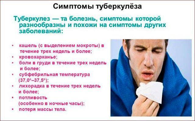 Застойная пневмония у лежачих больных – профилактика, прогноз, лечение