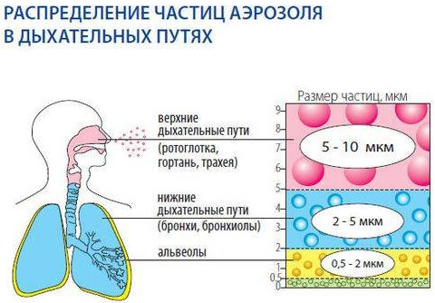 Фостер (foster)