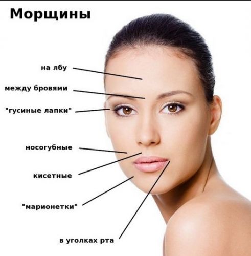 Витамин в13: зачем нам нужна оротовая кислота
