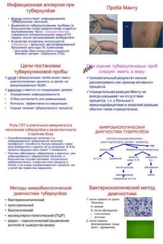 Mycobacterium tuberculosis