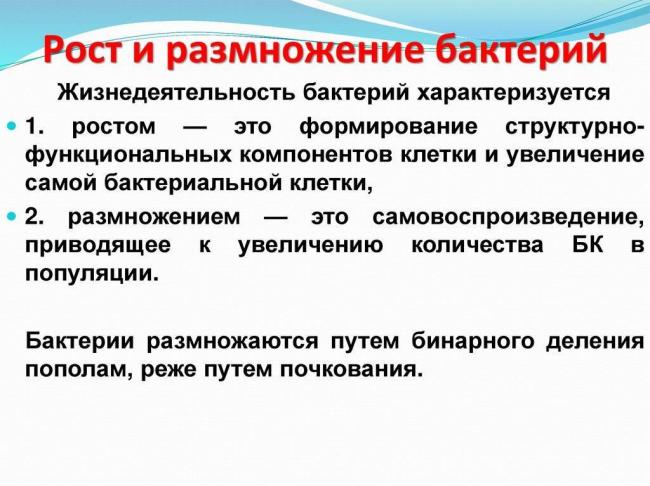Температура как способ борьбы организма с болезнетворными бактериями