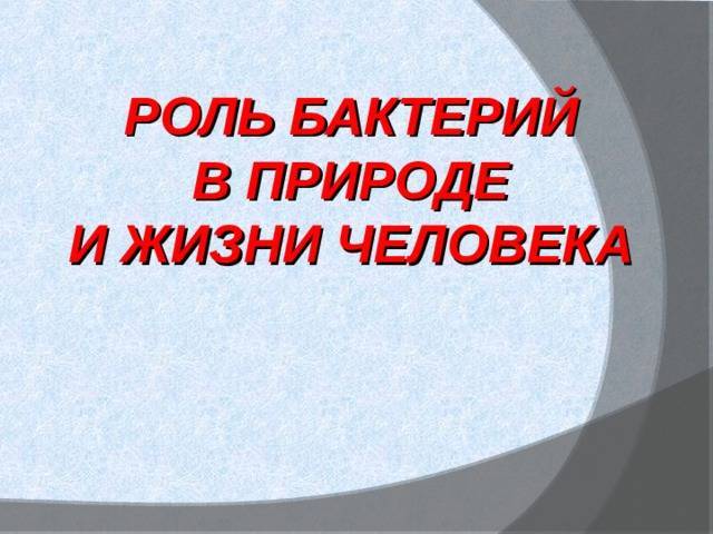 Бактерии