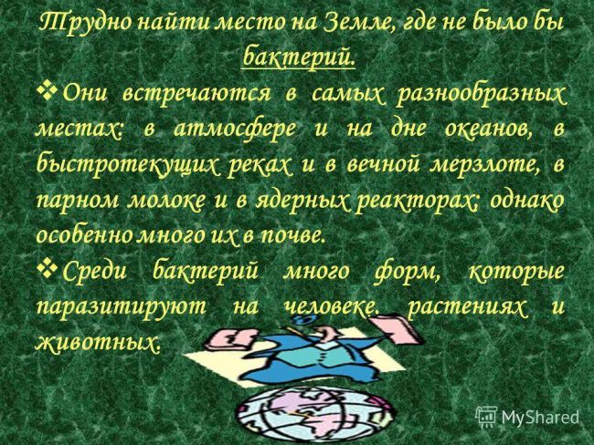 Как выжить везде, или в чем секрет многообразия бактерий