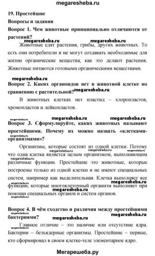 Чего не имеет бактериальная клетка
