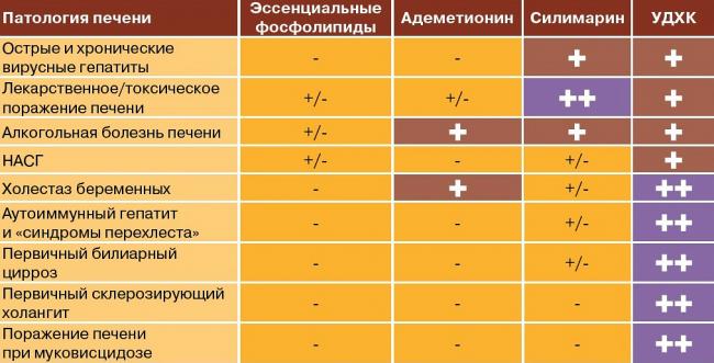 Гепатопротекторы для печени