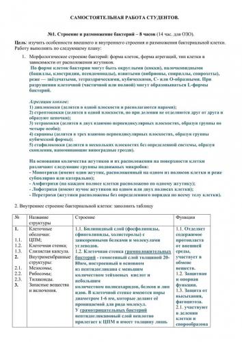 Жгутик — википедия с видео // wiki 2