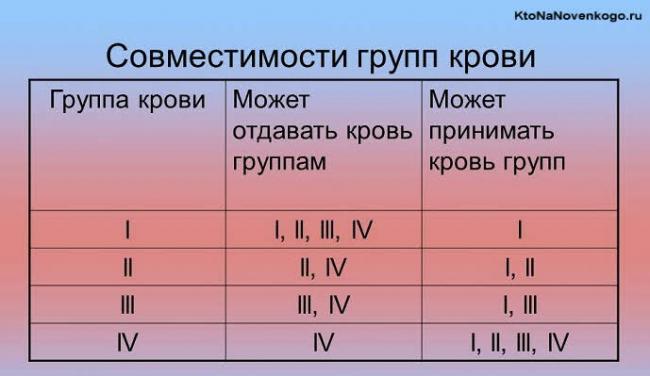 Резус-фактор – что это такое и на что влияет особый белок?