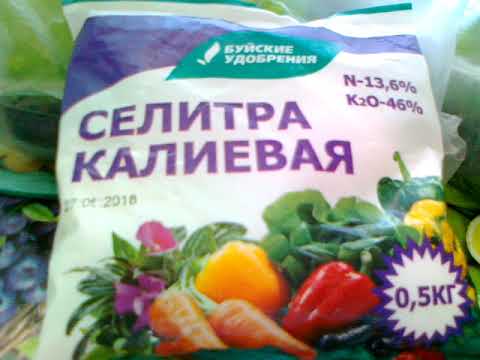 Калиевая селитра - применение, свойства и состав удобрения