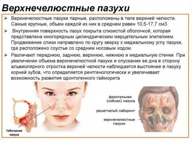 Септопластика носовой перегородки. что это такое лазерная, эндоскопическая, радиоволновая. послеоперационный период, последствия