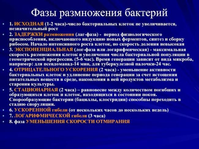 Способы размножения бактерий