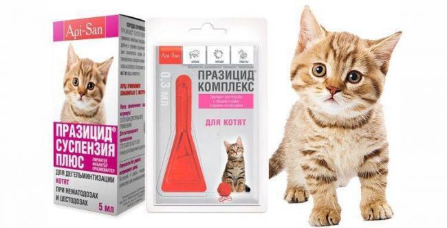 Цистофан для кошек инструкция по применению