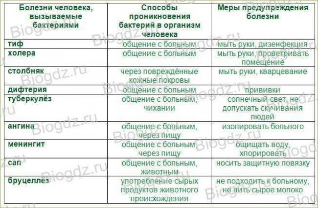 Лечение бактерий: какие самые эффективные методы борьбы