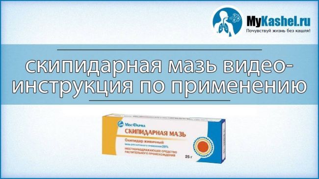 Скипидарная мазь от кашля для детей