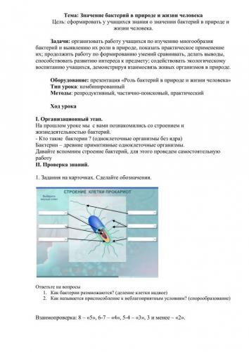Где обитает большинство бактерий: самые популярные места