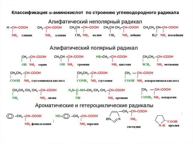Слово цистеин - что такое цистеин? - значения слова, примеры употребления