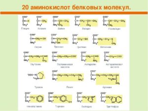 Слово цистеин - что такое цистеин? - значения слова, примеры употребления