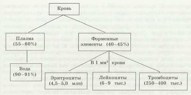 Плазма крови: составные элементы (вещества, белки), функции в организме, использование