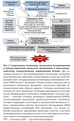 Фендивия – инструкция по применению пластыря, отзывы, цена, налоги