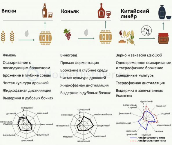 Роль бактерий в жизни человека. полезные бактерии
