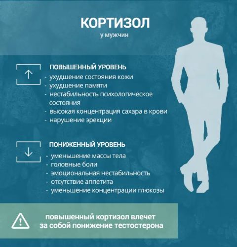 Надпочечники: 3 стадии стресса