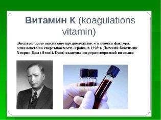 Ревит инструкция по применению