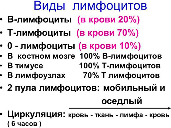 Анализ крови базофилы лимфоциты моноциты
