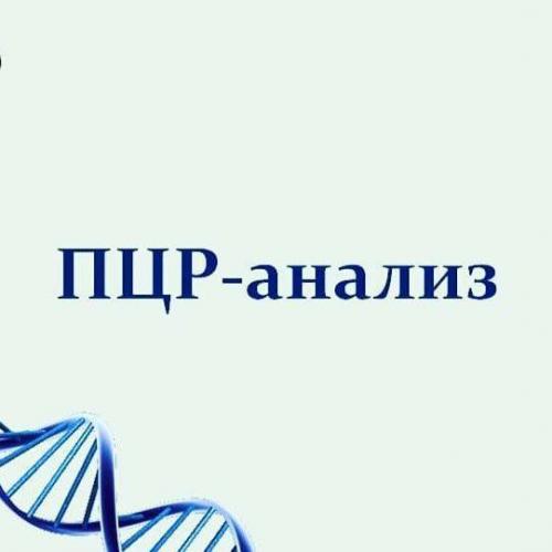 Какую опасность представляют патогенные и условно патогенные микроорганизмы для человека