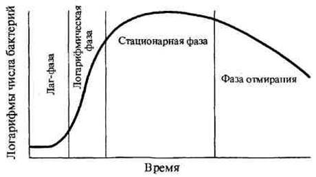 Закономерности развития популяций бактерий в окружающей среде - автореферат диссертации по ветеринарии скачать бесплатно на тему 'ветеринарная санитария, экология, зоогигиена и ветеринарно-санитарная экспертиза', специальность вак рф 16.00.06