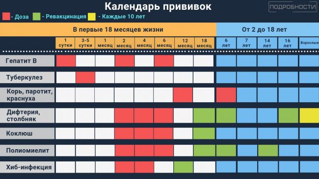 Календарь прививок для детей. таблица прививок до года