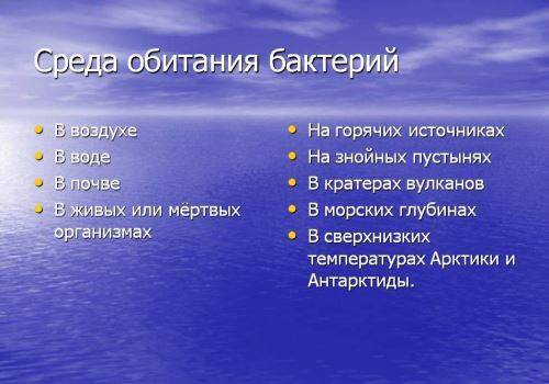Роль бактерий в природе